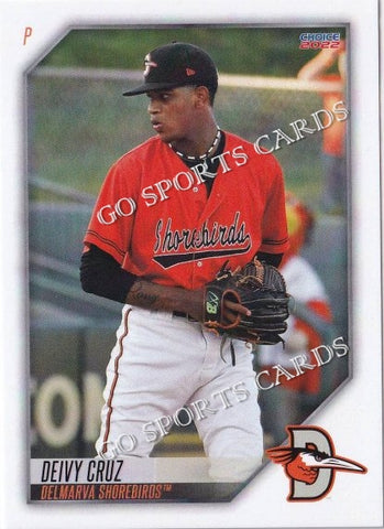 2022 Delmarva Shorebirds Deivy Cruz