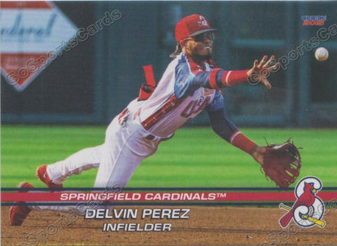 2021 Springfield Cardinals Delvin Perez
