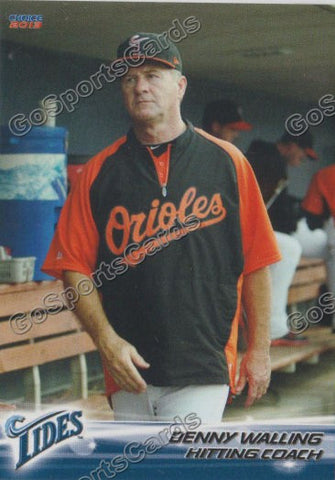 2013 Norfolk Tides Denny Walling