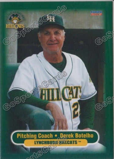 2013 Lynchburg Hillcats Derek Botelho