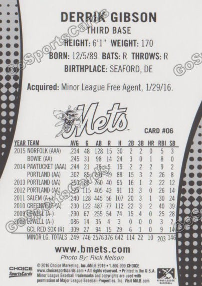 2016 Binghamton Mets Derrik Gibson Back of Card