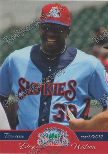 2013 Tennessee Smokies Desi Wilson