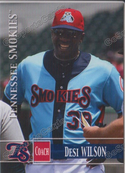 2014 Tennessee Smokies Desi Wilson