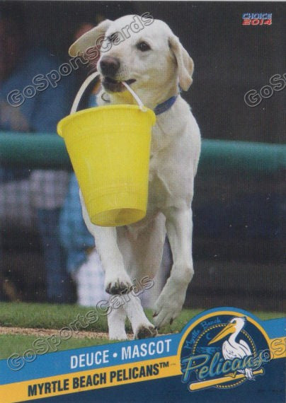 2014 Myrtle Beach Pelicans Deuce Mascot