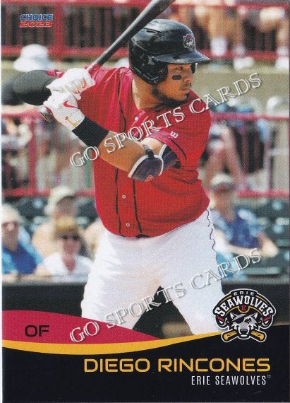 2023 Erie SeaWolves Diego Rincones