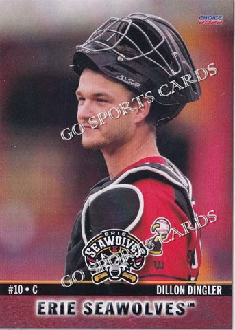 2022 Erie SeaWolves Dillon Dingler
