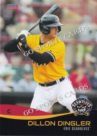 2023 Erie SeaWolves Dillon Dingler