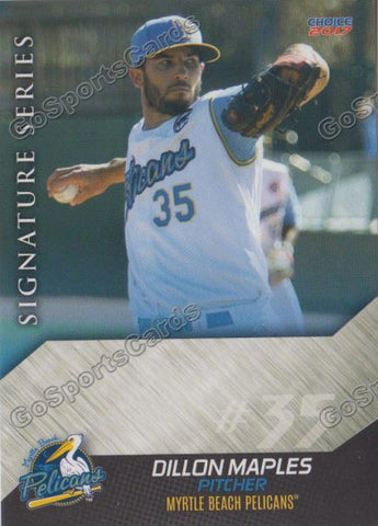 2017 Myrtle Beach Pelicans Dillon Maples