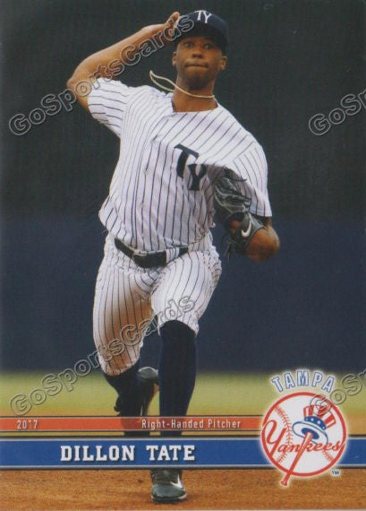 2017 Tampa Yankees Dillon Tate