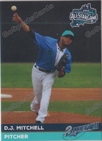 2015 Bridgeport Bluefish DJ Mitchell