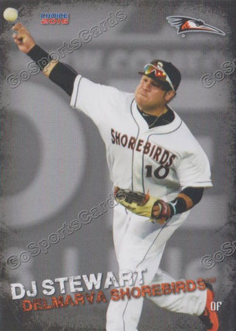 2016 Delmarva Shorebirds DJ Stewart