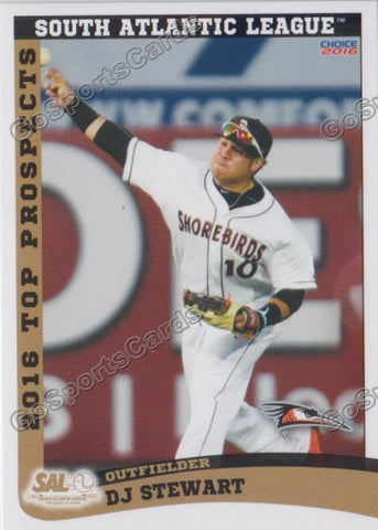 2016 South Atlantic League Top Prospect DJ Stewart