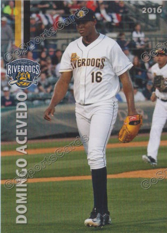 2016 Charleston RiverDogs Domingo Acevedo