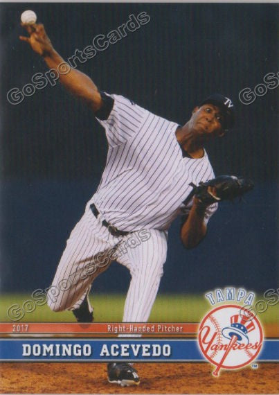 2017 Tampa Yankees Domingo Acevedo