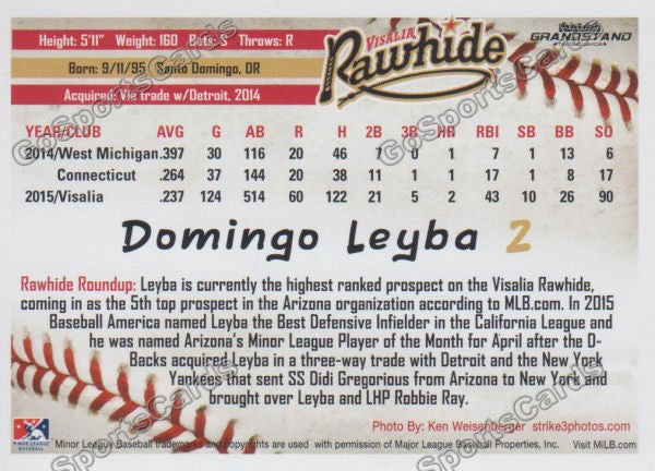 2016 Visalia Rawhide Domingo Leyba Back of Card