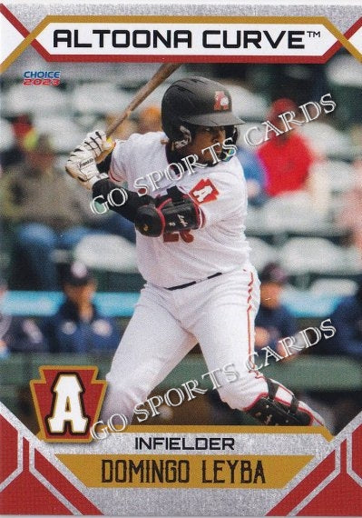 2023 Altoona Curve Domingo Leyba