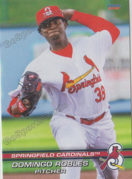 2021 Springfield Cardinals Domingo Robles