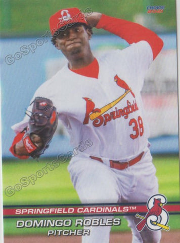 2021 Springfield Cardinals Domingo Robles