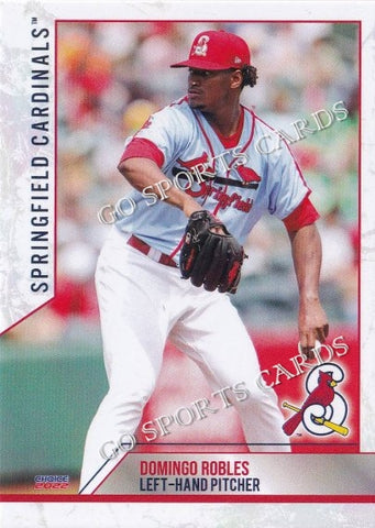 2022 Springfield Cardinals Domingo Robles