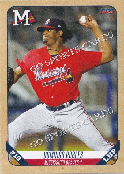 2023 Mississippi Braves Domingo Robles