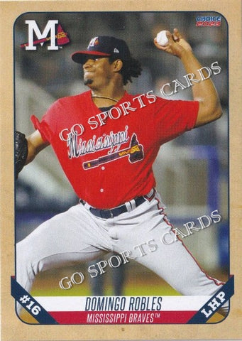 2023 Mississippi Braves Domingo Robles