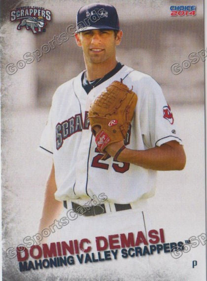 2014 Mahoning Valley Scrappers Dominic Demasi