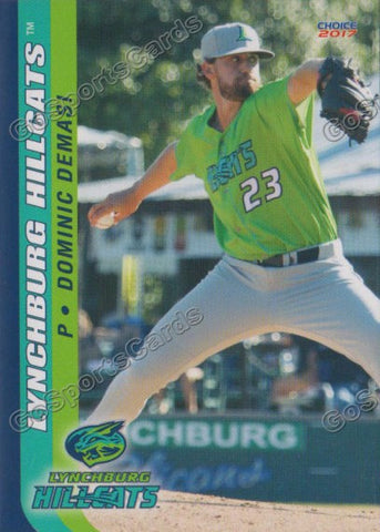 2017 Lynchburg Hillcats Dominic Demasi