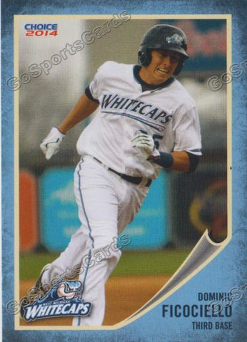 2014 West Michigan Whitecaps Dominic Ficociello