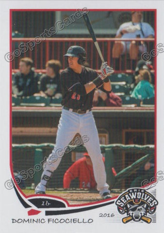 2016 Erie SeaWolves Dominic Ficociello