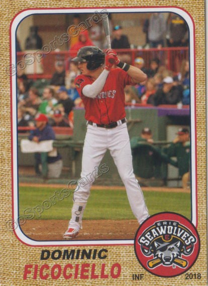 2018 Erie SeaWolves Dominic Ficociello