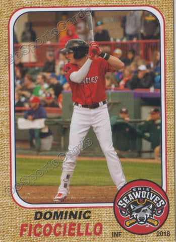 2018 Erie SeaWolves Dominic Ficociello