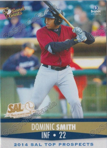 2014 South Atlantic League Top Prospect Dominic Smith