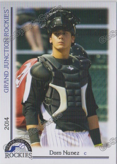 2014 Grand Junction Dom Nunez