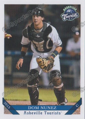 2015 Asheville Tourists Dom Nunez