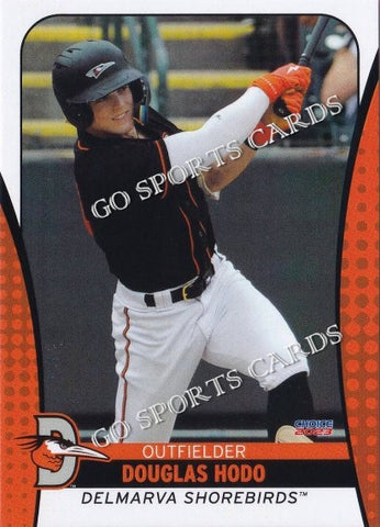 2023 Delmarva Shorebirds Douglas Hodo