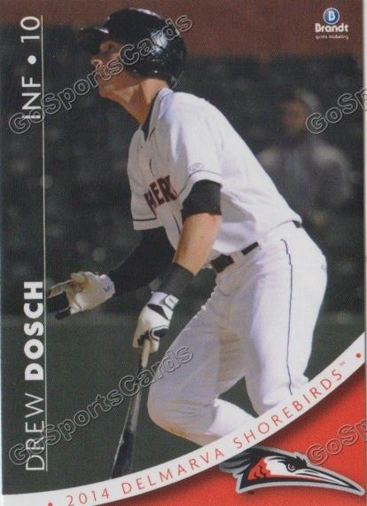 2014 Delmarva Shorebirds Drew Dosch