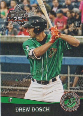 2017 Norfolk Tides Drew Dosch
