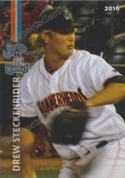 2016 Jupiter Hammerheads Team Set