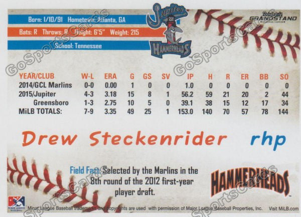 2016 Jupiter Hammerheads Drew Steckenrider  Back of Card
