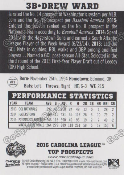 2016 Carolina League Top Prospect Drew Ward Back of Card