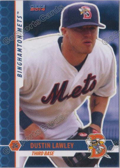 2014 Binghamton Mets Dustin Lawley