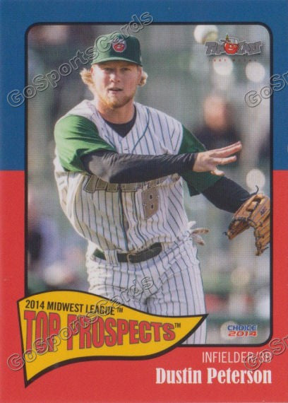 2014 MidWest League Top Prospect Dustin Peterson