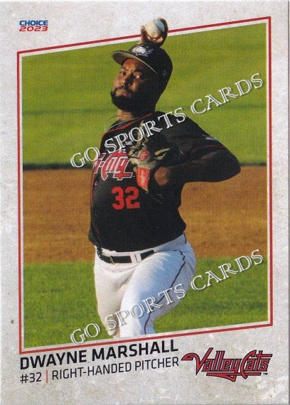 2023 Tri City ValleyCats Dwayne Marshall