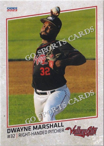2023 Tri City ValleyCats Dwayne Marshall