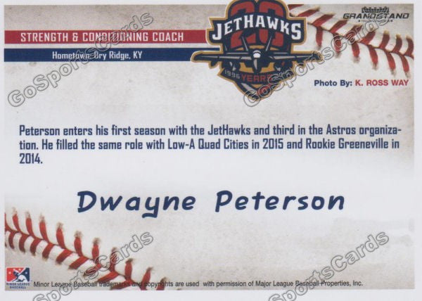 2016 Lancaster JetHawks Dwayne Peterson Back of Card
