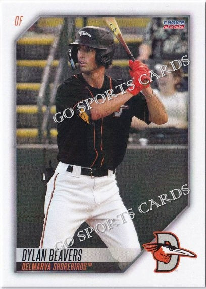 2022 Delmarva Shorebirds Dylan Beavers