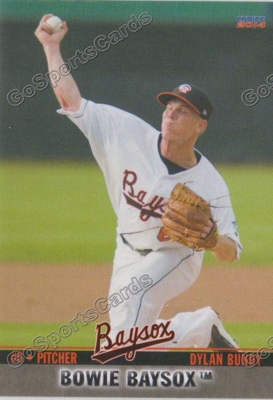 2014 Bowie Baysox Dylan Bundy