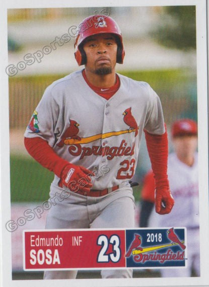 2018 Springfield Cardinals Edmundo Sosa