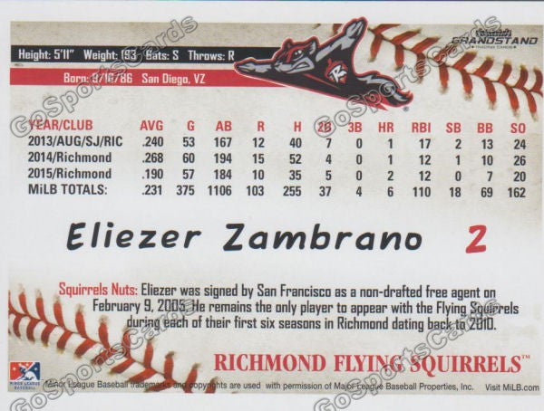 2016 Richmond Flying Squirrels Eliezer Zambrano Back of Card