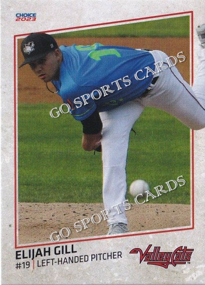 2023 Tri City ValleyCats Elijah Gill